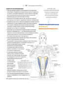 Анатомия йоги. Атлас-раскраска — фото, картинка — 11