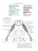 Анатомия йоги. Атлас-раскраска — фото, картинка — 12
