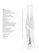 Анатомия йоги. Атлас-раскраска — фото, картинка — 6