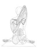 Анатомия йоги. Атлас-раскраска — фото, картинка — 7