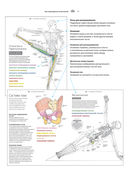 Анатомия йоги. Атлас-раскраска — фото, картинка — 10