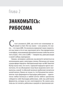Генетический детектив. От исследования рибосомы к Нобелевской премии — фото, картинка — 3