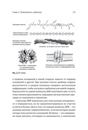 Генетический детектив. От исследования рибосомы к Нобелевской премии — фото, картинка — 6