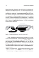 Генетический детектив. От исследования рибосомы к Нобелевской премии — фото, картинка — 7