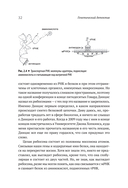 Генетический детектив. От исследования рибосомы к Нобелевской премии — фото, картинка — 9