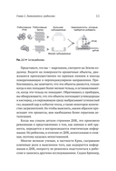 Генетический детектив. От исследования рибосомы к Нобелевской премии — фото, картинка — 10
