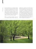 Фотография. Руководство по съемке природных сюжетов — фото, картинка — 9