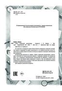 Тайна старинной миниатюры — фото, картинка — 4