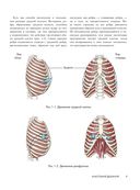 Анатомия голоса. Иллюстрированное руководство для певцов, преподавателей по вокалу и логопедов — фото, картинка — 7