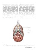 Анатомия голоса. Иллюстрированное руководство для певцов, преподавателей по вокалу и логопедов — фото, картинка — 9