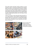 Композиция как визуальный сторителлинг: руководство для фотографов — фото, картинка — 11