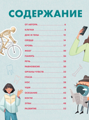 Твое тело. Как оно работает и меняется — фото, картинка — 3