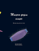 Семена и зерна. Иллюстрированный атлас — фото, картинка — 8