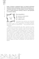 Возрождение — фото, картинка — 7