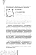 Возрождение — фото, картинка — 15