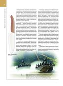 Холодное оружие мира — фото, картинка — 22