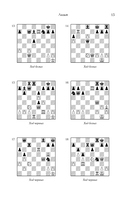 Шахматная тактика XXI века — фото, картинка — 15