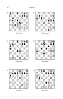 Шахматная тактика XXI века — фото, картинка — 16