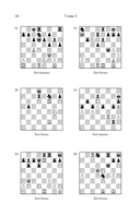 Шахматная тактика XXI века — фото, картинка — 18