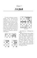 Шахматная тактика XXI века — фото, картинка — 7