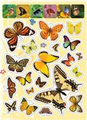 Бабочки. 100 наклеек — фото, картинка — 1