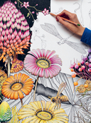 Загадочная природа. Авторские иллюстрации флоры и фауны для раскрашивания — фото, картинка — 1