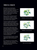 Загадочная природа. Авторские иллюстрации флоры и фауны для раскрашивания — фото, картинка — 5