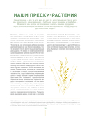 Шаманское травничество. Сила растений. Рецепты наших предков — фото, картинка — 10