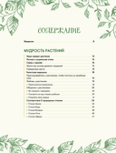 Шаманское травничество. Сила растений. Рецепты наших предков — фото, картинка — 3