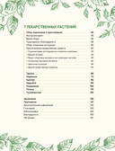 Шаманское травничество. Сила растений. Рецепты наших предков — фото, картинка — 5