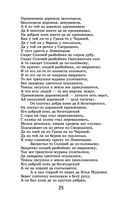 Былины — фото, картинка — 22