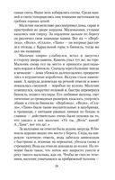 Пегий пес, бегущий краем моря — фото, картинка — 27