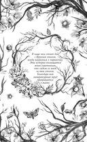 Белладонна — фото, картинка — 5