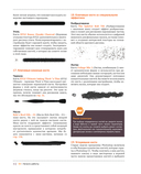 Цифровая живопись в Photoshop для начинающих — фото, картинка — 28