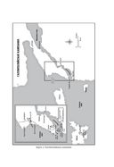 Падение Османской империи. Первая мировая война на Ближнем Востоке, 1914–1920 гг. — фото, картинка — 19