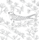 В объятиях природы. Раскрашиваем обаятельные иллюстрации животных и птиц — фото, картинка — 5