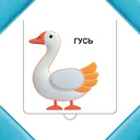 Кто прячется на ферме? — фото, картинка — 4