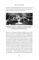 Рождение разума. Как интеллект зарождается в людях и нейросетях — фото, картинка — 17