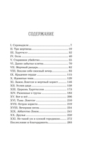 Рыцарь-призрак — фото, картинка — 1