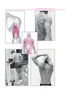 Спортивная анатомия — фото, картинка — 5