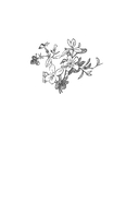 Поменяй воду цветам — фото, картинка — 1