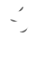 Птица, влюбленная в клетку — фото, картинка — 1