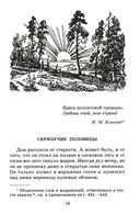 Мещерская сторона — фото, картинка — 4