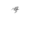 К черту тревожность. Как не стать 