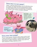 Почему хрюшек считают грязнулями? 100 интересных фактов о домашних животных — фото, картинка — 2