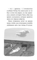 Тайный дневник кота Бориса. Выпуск 4 — фото, картинка — 9