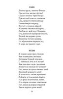 Евгений Онегин — фото, картинка — 22